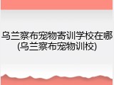 乌兰察布宠物寄训学校在哪(乌兰察布宠物训校)