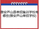 雅安芦山县单招集训学校有哪些(雅安芦山单招学校)
