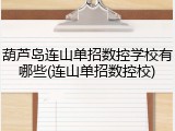 葫芦岛连山单招数控学校有哪些(连山单招数控校)