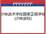 少林武术学校国家正规学校(少林武校)