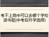 考不上高中可以去哪个学校读书呢(中考后升学选择)
