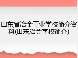山东省冶金工业学校简介资料(山东冶金学校简介)