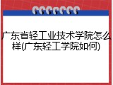 广东省轻工业技术学院怎么样(广东轻工学院如何)
