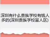 深圳有什么贵族学校有钱人多的(深圳贵族学校富人区)