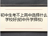 初中生考不上高中选择什么学校好(初中升学择校)