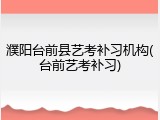 濮阳台前县艺考补习机构(台前艺考补习)