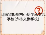河南省郑州市中岳少林文武学校(少林文武学校)