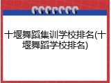 十堰舞蹈集训学校排名(十堰舞蹈学校排名)