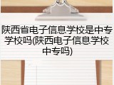 陕西省电子信息学校是中专学校吗(陕西电子信息学校中专吗)