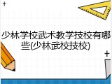 少林学校武术教学技校有哪些(少林武校技校)
