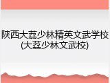 陕西大荔少林精英文武学校(大荔少林文武校)