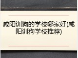 咸阳训狗的学校哪家好(咸阳训狗学校推荐)