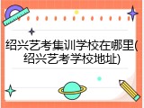 绍兴艺考集训学校在哪里(绍兴艺考学校地址)