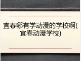 宜春哪有学动漫的学校啊(宜春动漫学校)