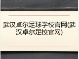 武汉卓尔足球学校官网(武汉卓尔足校官网)