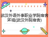 武汉外语外事职业学院宿舍环境(武汉外院宿舍)