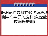 贵阳息烽县哪有数控编程培训中心中职怎么样(息烽数控编程培训)