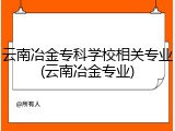云南冶金专科学校相关专业(云南冶金专业)