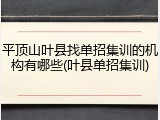 平顶山叶县找单招集训的机构有哪些(叶县单招集训)