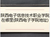 陕西电子信息技术职业学院在哪里(陕西电子学院地址)