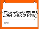 少林文武学校学武功职中可以吗(少林武校职中学武)