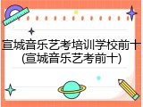 宣城音乐艺考培训学校前十(宣城音乐艺考前十)