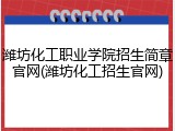 潍坊化工职业学院招生简章官网(潍坊化工招生官网)
