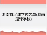 湖南有足球学校名单(湖南足球学校)
