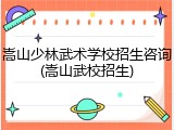 嵩山少林武术学校招生咨询(嵩山武校招生)