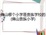 佛山哪个小学是贵族学校的(佛山贵族小学)
