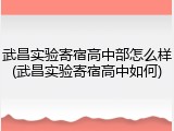武昌实验寄宿高中部怎么样(武昌实验寄宿高中如何)