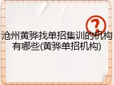 沧州黄骅找单招集训的机构有哪些(黄骅单招机构)