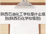 陕西石油化工学校是什么级别(陕西石化学校级别)