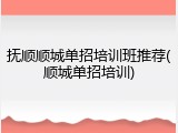 抚顺顺城单招培训班推荐(顺城单招培训)