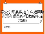 泰安宁阳县数控车床短期培训班有哪些(宁阳数控车床培训)