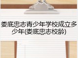 娄底忠志青少年学校成立多少年(娄底忠志校龄)