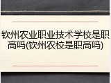 钦州农业职业技术学校是职高吗(钦州农校是职高吗)