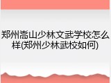 郑州嵩山少林文武学校怎么样(郑州少林武校如何)