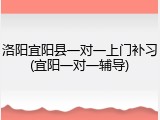 洛阳宜阳县一对一上门补习(宜阳一对一辅导)