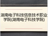湖南电子科技信息技术职业学院(湖南电子科技学院)