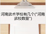 河南武术学校有几个("河南武校数量")