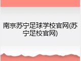 南京苏宁足球学校官网(苏宁足校官网)