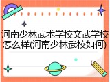 河南少林武术学校文武学校怎么样(河南少林武校如何)