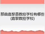 那曲嘉黎县数控学校有哪些(嘉黎数控学校)