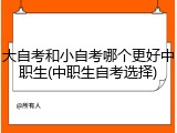 大自考和小自考哪个更好中职生(中职生自考选择)