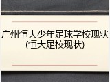广州恒大少年足球学校现状(恒大足校现状)