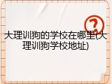 大理训狗的学校在哪里(大理训狗学校地址)