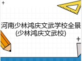河南少林鸿庆文武学校全景(少林鸿庆文武校)