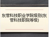 东营科技职业学院级别(东营科技职院等级)