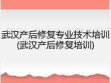 武汉产后修复专业技术培训(武汉产后修复培训)